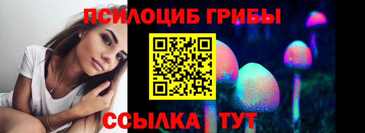 купить  сайты  Галлюциногенные грибы ЛСД  Мурманск  Вход с VPN  Галлюциногенные грибы Psilocybe 